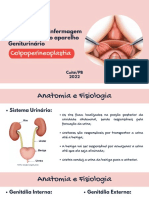 Slide Colpoperineoplastia