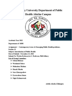 Rift Valley University Department of Public Health Abichu Campus