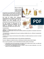 Esclerosis Multiple