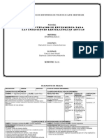 Plan de Cuidados de Enfermería en IRAS