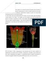 Chapitre 7 Botanique