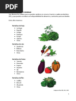 Produciones Rapidas en Conucos Escolares - Espacios de Siembra