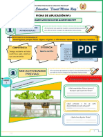 5° Ficha de Aplicación-Sesión 3