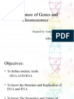 Nature of Genes and Chromosomes