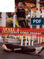 Ruslan Saibov Hybrid Program LVL 2