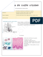 Anatomia Patologica de Cuello Uterino