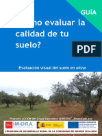 Guia Como Evaluar La Calidad de Tu Suelo