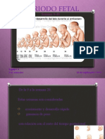 Periodo Fetal