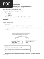 Histología Del Tejido o Sistema Nervioso-Tejido Sanguíneo