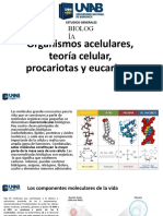 Semana 6 - Organismos Acelulares-Wilder