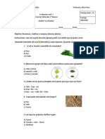 Evaluación Coef 1 de Ciencias 1 Básicos Las Plantas