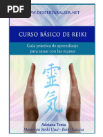 Reiki Guia Basica Libro