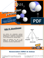 Tema 10 Aminas y Amidas