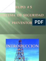 Sistema de Seguridad y Preventores