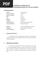 Informe de La Prueba Raven