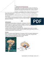 Resumen Neurofisiología U6. 1er Año UCA.