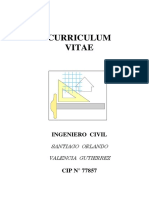 CV SOVG Documentado