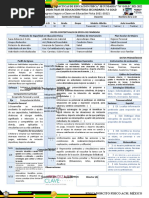 Planes Educacion Fisica