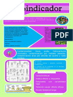 Bioindicadores Infografia