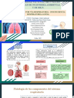 Práctica N°6 - Eliminación Por Via Respiratoria - Grupo 7