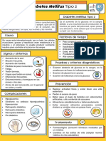 Infografía de La DM Tipo II