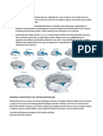 Teoría Neurociencia Del 1 Al4