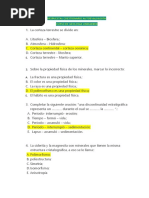 Retroalimentación Autoevaluación Unidad # 04