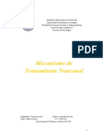 Mecánismo de Transmisión Neuronal