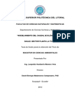 Tesis Caudal Ecológico, Ene-13