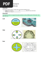 Note-Chapter 8 Plant Transport