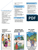 Leaflet Ibu Hamil Risti