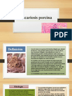 Ascariosis Porcina Oficial