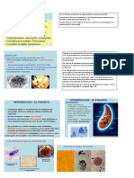 TOXOPLASMOSIS