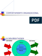 Comportamiento Organizacional