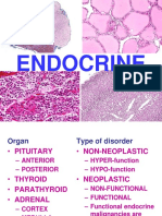 Endocrine Pathology