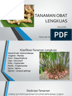 Farmakognosi, Lengkuas, Idham Bahrul Harbi