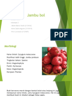 Kel 2 Jambu Bol Farmakognosi