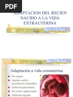 Adaptacion Del Recien Nacido A La Vida Extrauterina