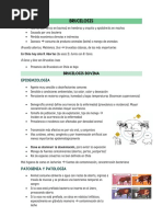 Brucelosis, Brucelosis Canis, Epididimits Carnero, Campylobacter, Ectima 19-04 Parásito