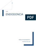 Apuntes Endodoncia II-2