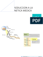 1 Clase 1 Genetica Abril 2021