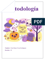 Metodologia Trabajo 1