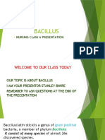 Bacillus Powerpoint Presentation Class A