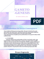 Gametogenesis Biologi