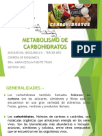 Tema 3 Metabolismo de Hidratos de Carbono MCPT 2022