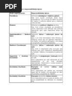 Níveis Hierárquicos e Responsabilidades Típicas