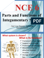 Integumentary System