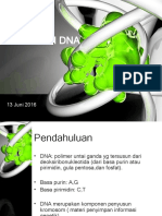 Ekstraksi DNA