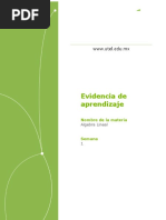 AlgebraLineal Evidencia de Aprendizaje Semana 1