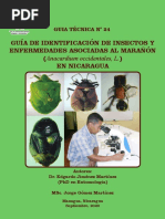 Guía de Identificación de Insectos Y Enfermedades Asociadas Al Marañón (En Nicaragua